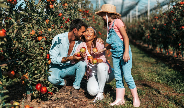 Family picking apples at an apple orchard