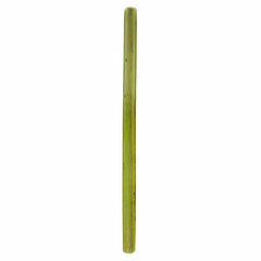 A single, long, green bamboo stick stands upright against a plain white background, reminiscent of the products used in Totally Bamboo's Reusable Bamboo Drinking Straws, 8 Pack—a renewable resource for eco-friendly drinking solutions.